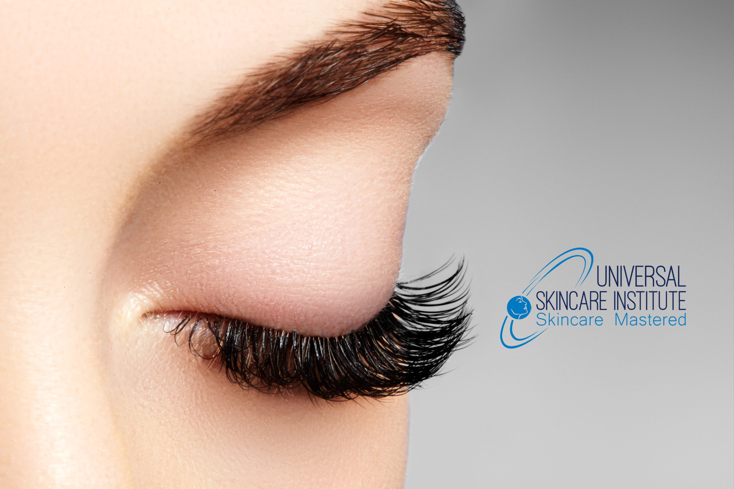 Read more about the article Eyelash Training